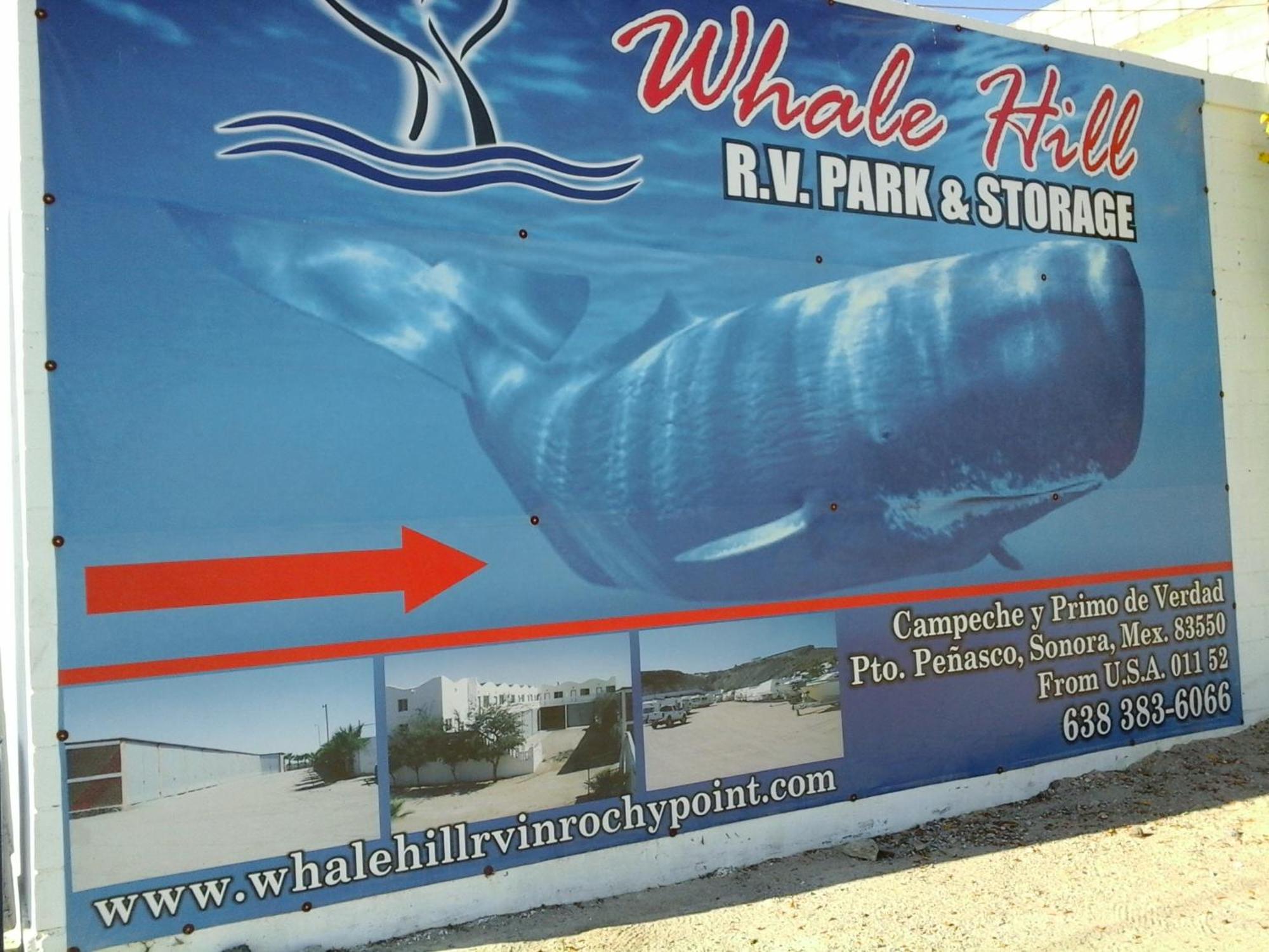 Whale Hill Aparthotel Puerto Peñasco Cameră foto